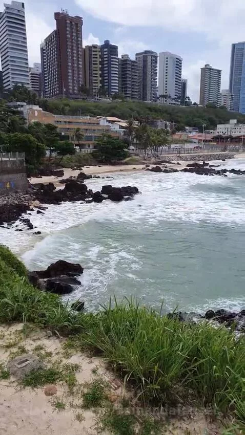 Prévia da publicação de aamandafonsec