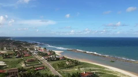 Prévia da publicação de aamandafonsec