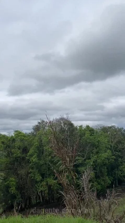 Prévia da publicação de vlari