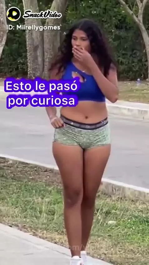 Prévia da publicação de vinilolima