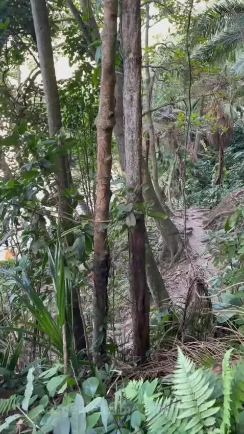 video poster