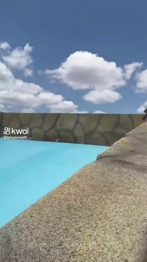 Prévia da publicação de carolcat2