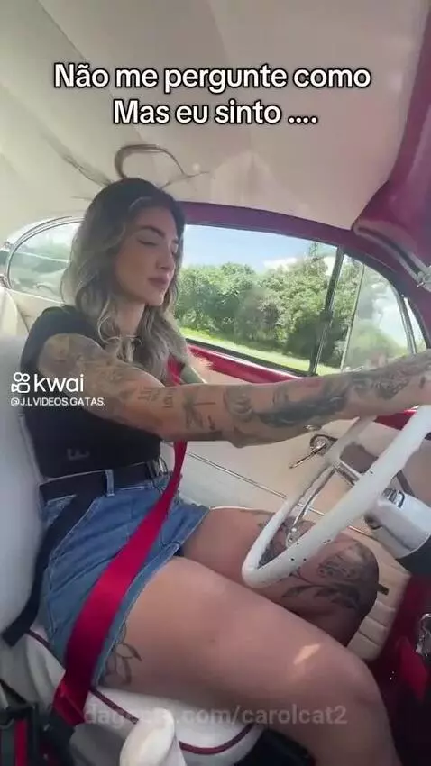 Prévia da publicação de carolcat2