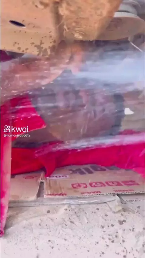 Prévia da publicação de carolcat2