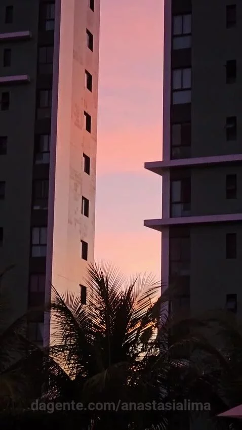 Prévia da publicação de anastasialima