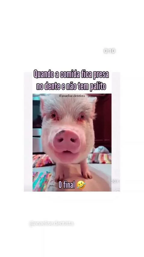 Prévia da publicação de receitinhas