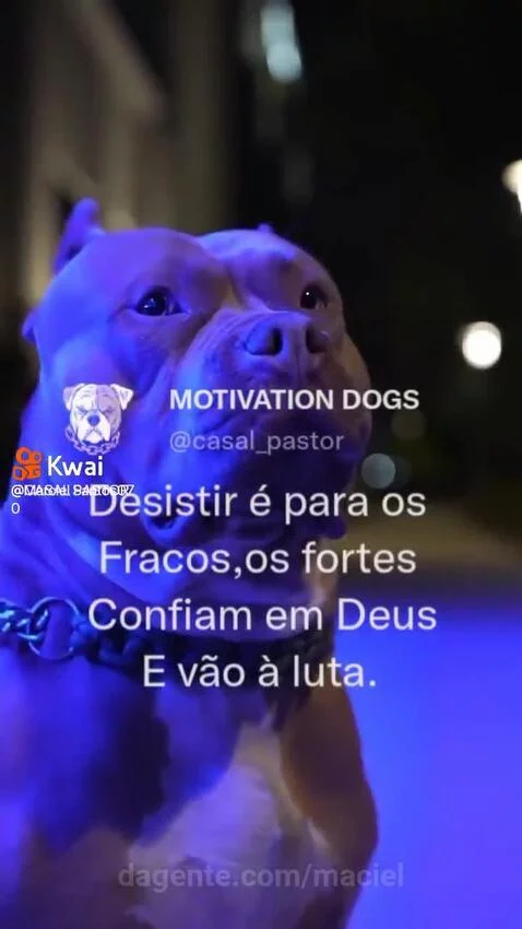 Prévia da publicação de maciel