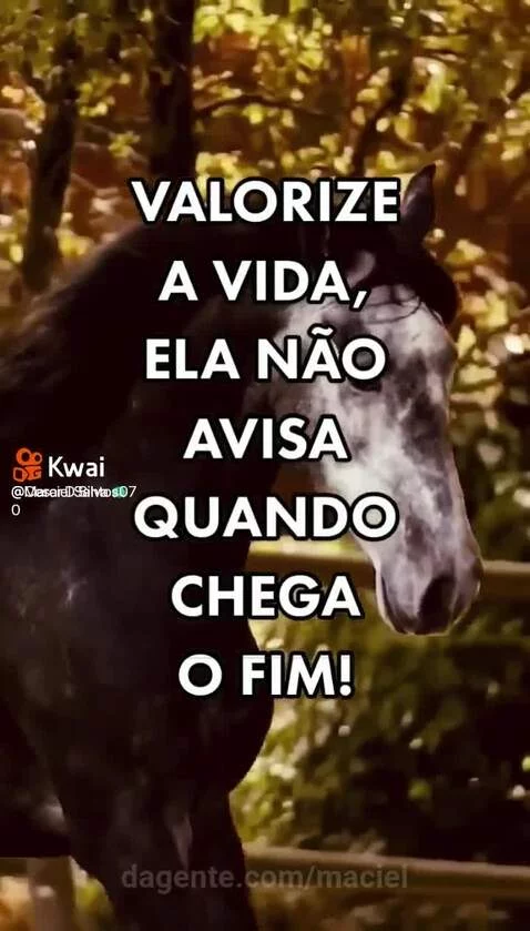 Prévia da publicação de maciel