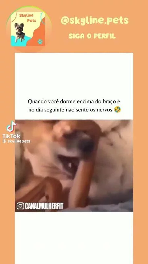 Prévia da publicação de maciel