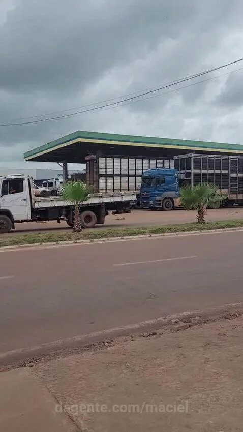 Prévia da publicação de maciel