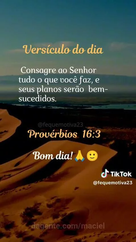 Prévia da publicação de maciel