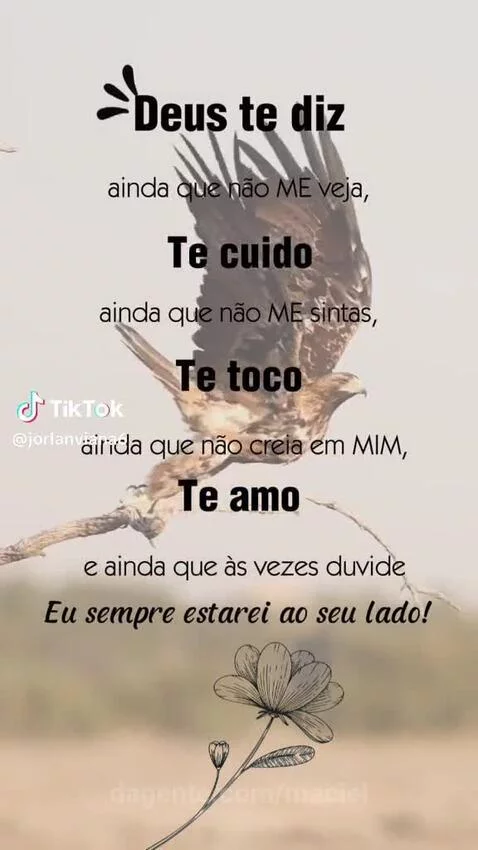 Prévia da publicação de maciel