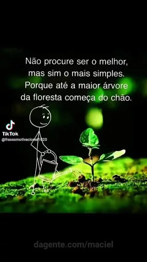 Prévia da publicação de maciel