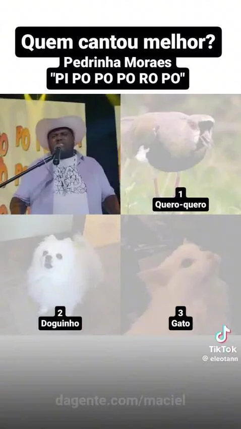 Prévia da publicação de maciel