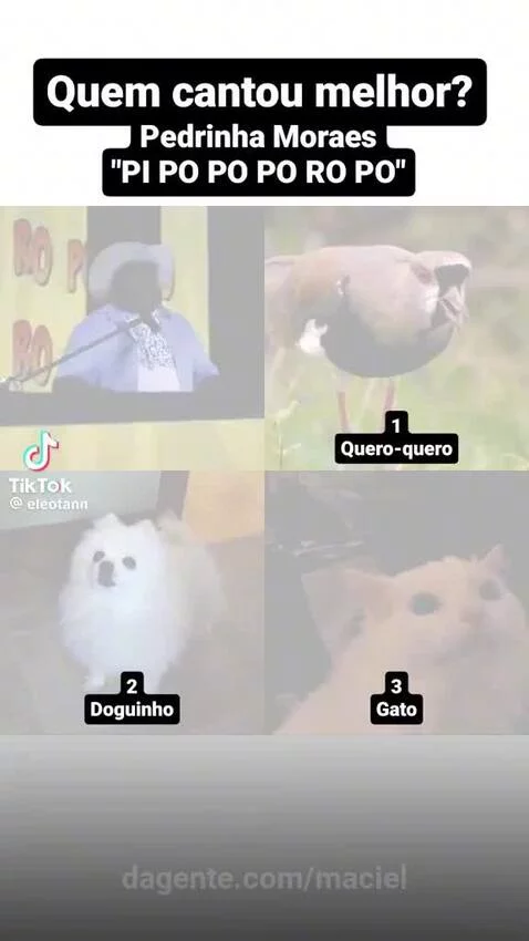 video poster