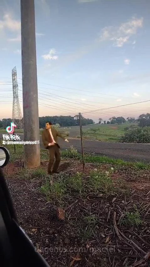 Prévia da publicação de maciel