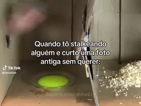 Prévia da publicação de shine21y