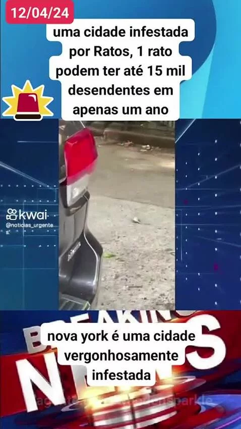 Prévia da publicação de woodensparkle