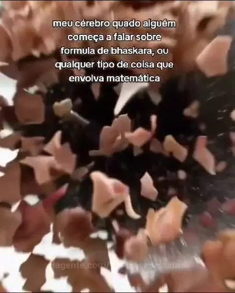 Prévia da publicação de vinifrasesestatus