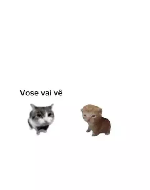 Prévia da publicação de vinifrasesestatus