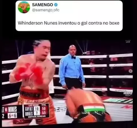 Prévia da publicação de vinifrasesestatus