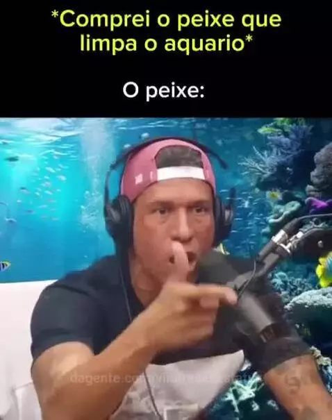 Prévia da publicação de vinifrasesestatus