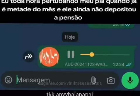 Prévia da publicação de vinifrasesestatus