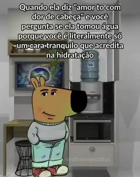 Prévia da publicação de vinifrasesestatus