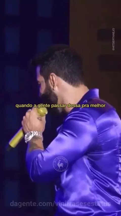 Prévia da publicação de vinifrasesestatus