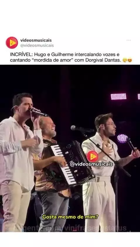 Prévia da publicação de vinifrasesestatus