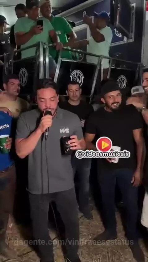 Prévia da publicação de vinifrasesestatus