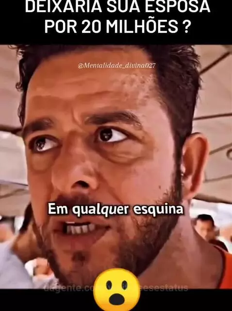 Prévia da publicação de vinifrasesestatus