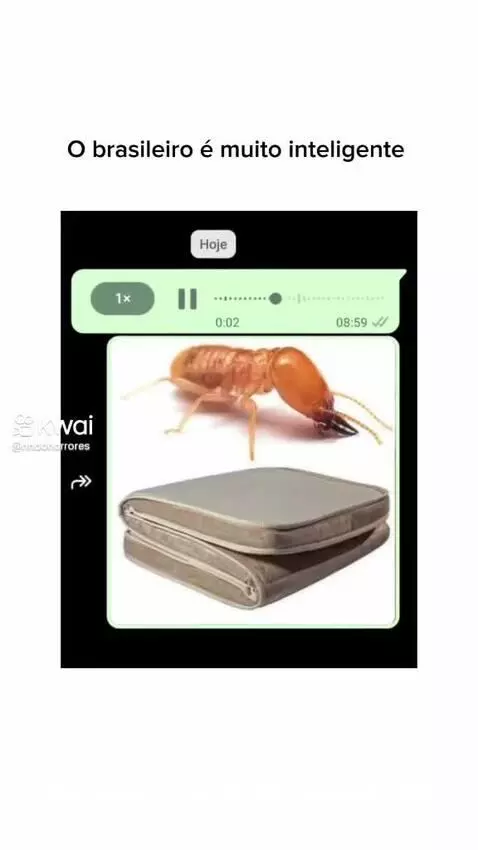 Prévia da publicação de vinifrasesestatus