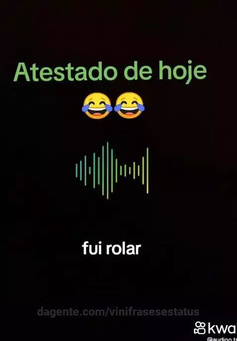 Prévia da publicação de vinifrasesestatus