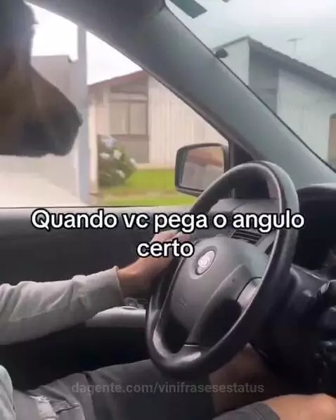 Prévia da publicação de vinifrasesestatus