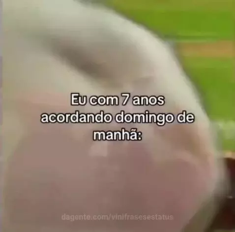 Prévia da publicação de vinifrasesestatus