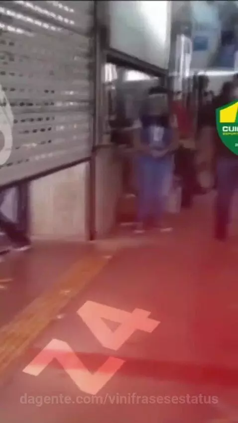 Prévia da publicação de vinifrasesestatus