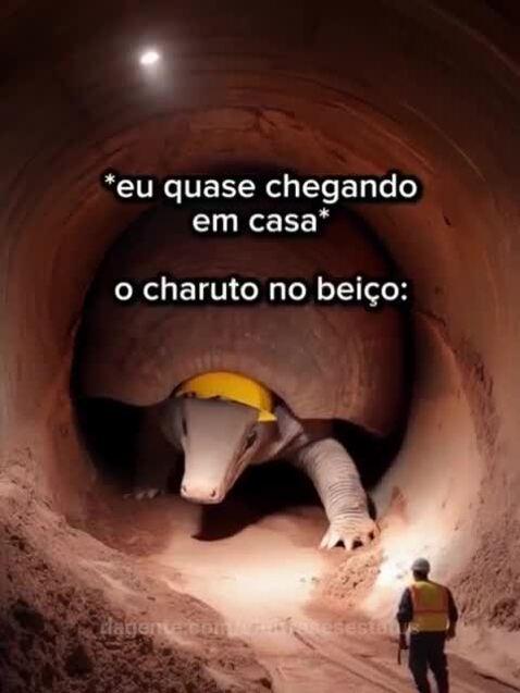 vinifrasesestatus
