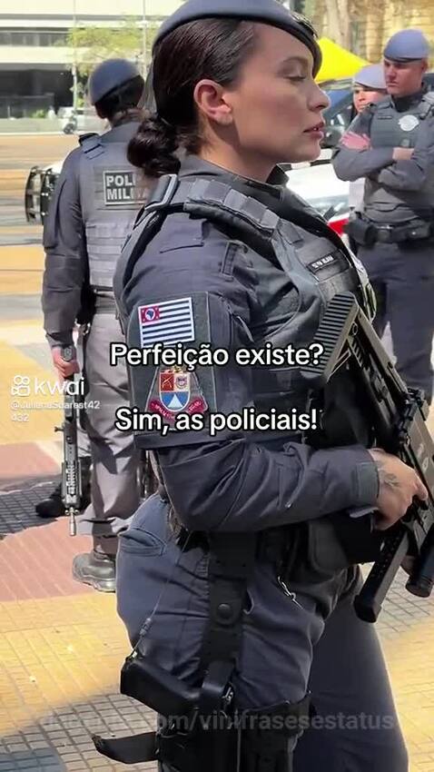 vinifrasesestatus