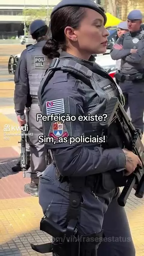 Prévia da publicação de vinifrasesestatus