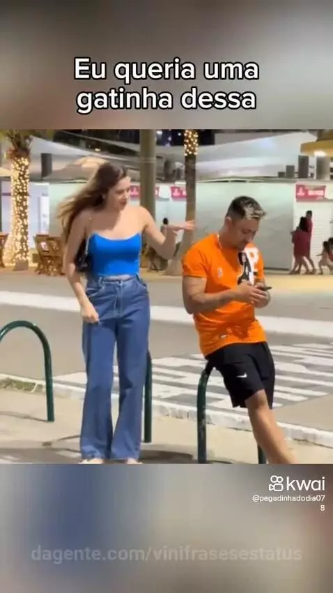 Prévia da publicação de vinifrasesestatus