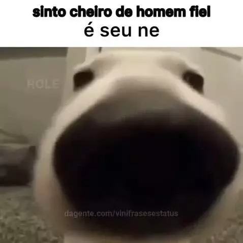 Prévia da publicação de vinifrasesestatus