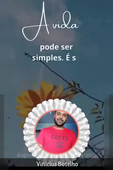 vinifrasesestatus