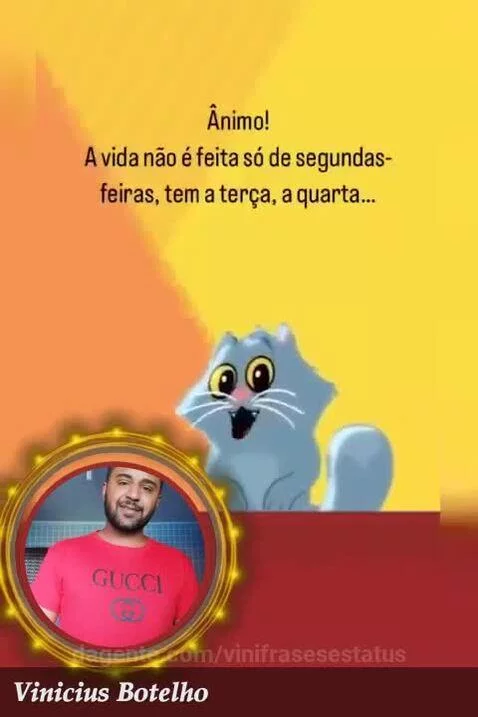 vinifrasesestatus
