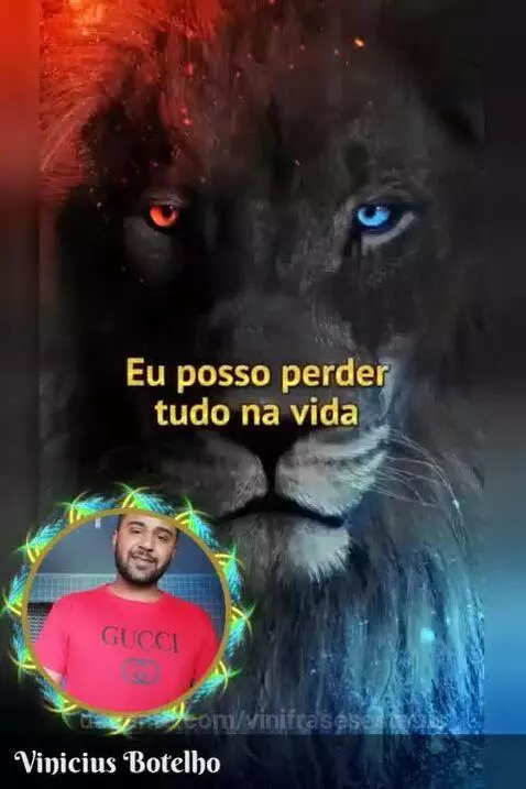 vinifrasesestatus