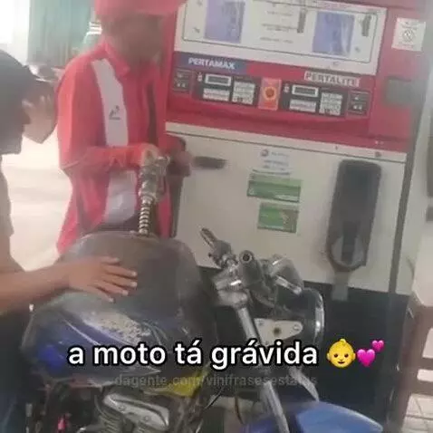 Prévia da publicação de vinifrasesestatus
