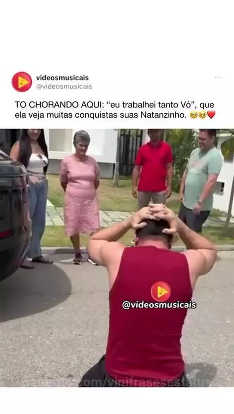 Prévia da publicação de vinifrasesestatus