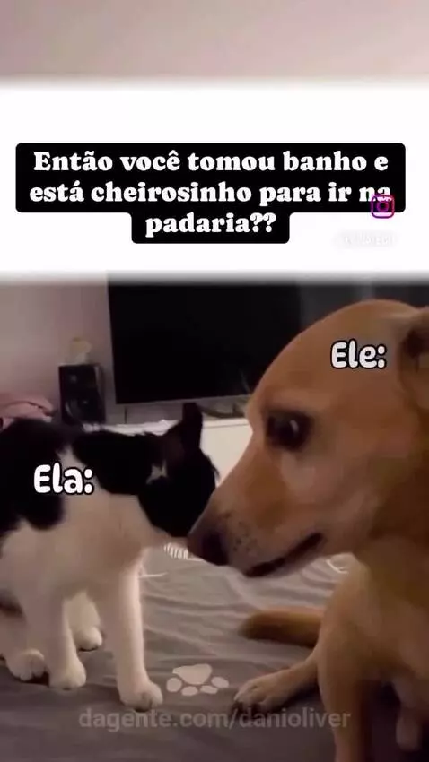 Prévia da publicação de danioliver
