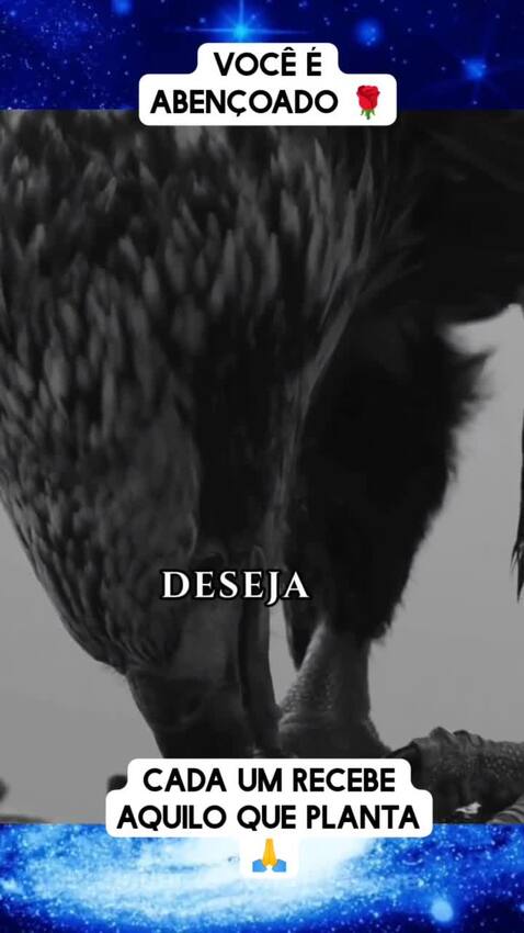 freerose
