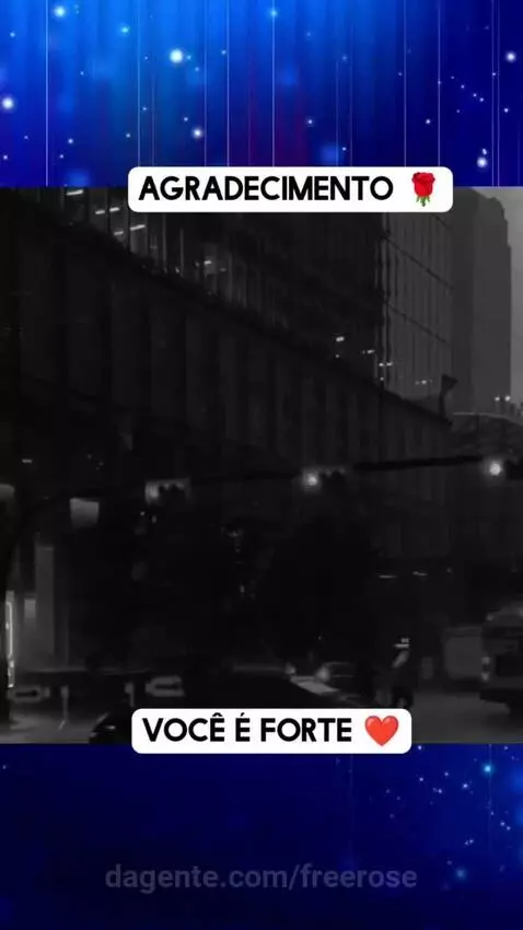 Prévia da publicação de freerose